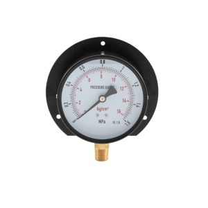 Industrial Y100 P-BD Pressure Gauge (0.1-100 MPa, 1.6 Accuracy) for Boiler Water Oil Gas Pressure Systems