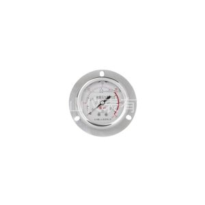 Guanshan YN63BFZT Stainless Steel Pressure Gauge 63mm Axial Mount 0-60Mpa