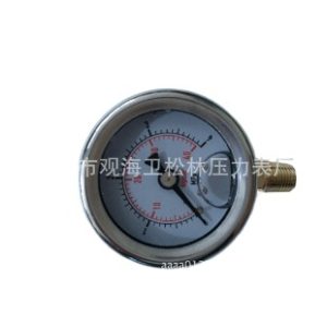 High Precision Oil Pressure Gauge with Shock Resistance for Lubricating Oil Pump Systems, 40mm Dial, 0-4MPa, M10*1 Radial Connection