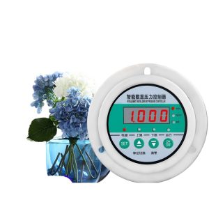 Intelligent Digital Display Pressure Controller SD-YS810ZT (0-60 MPA, -0.1-3 MPa) for Air Pressure Systems