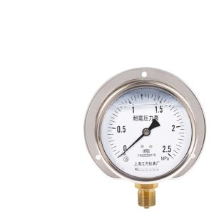 Radial Vibration-Resistant Pressure Gauge YN100/T (0-2.5MPa, Stainless Steel Case) for Industrial Fluid Systems
