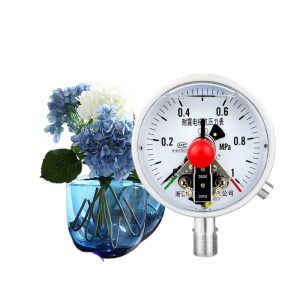 Analog Electric Contact Pressure Gauge (0-1 MPa, 100mm Dial, M20*1.5, Shock-Resistant) for Water/Oil Hydraulic Systems