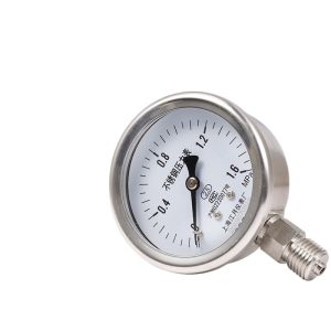 YN60BF Radial Pressure Gauge (0-1.6MPa, 2.5 Accuracy, Stainless Steel) for Water/Gas/Oil Pressure Measurement