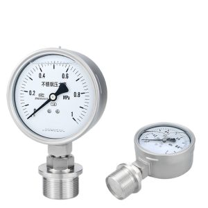 Diaphragm Pressure Gauge YTP100BF Stainless Steel 0-1 MPa for Water, Gas, Oil, Liquid