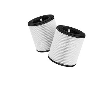 Replacement Activated Carbon Filter for Tailulu D10 Air Purifier, Odor and Formaldehyde Removal