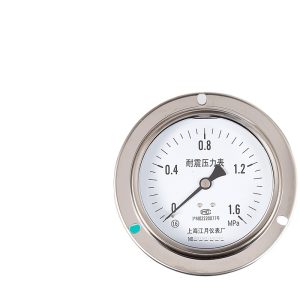 Axial Pressure Gauge Y100/ZT 0-1.6MPa, Stainless Steel Case, Vibration-Resistant, for Oil and Gas Pressure Systems