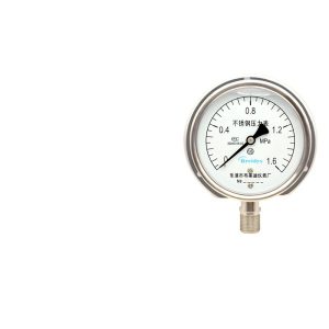 YNBF100T Stainless Steel Pressure Gauge (0-1.6MPa) for Water Air Oil Pressure Systems