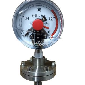 Vibration-Resistant Diaphragm Pressure Gauge YNXC100/ML (0-1.6 MPa, Radial Connection, 100mm Dial) for HVAC Systems
