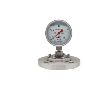 Hongqi YTPN-100BF/MF Stainless Steel Diaphragm Pressure Gauge, Corrosion Resistant, High-Temperature, Flange Connection, Shockproof, Industrial HVAC