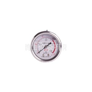 YN50Z Axial Pressure Gauge (0-1.6 MPa, 2.5 Accuracy, Glycerin Filled) for HVAC Systems