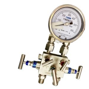 CYW-100B Stainless Steel Differential Pressure Gauge with 5-Valve Manifold (0-600 Mbar, Max Static Pressure 1.6MPa) for Air Hydraulic High Temperature Steam
