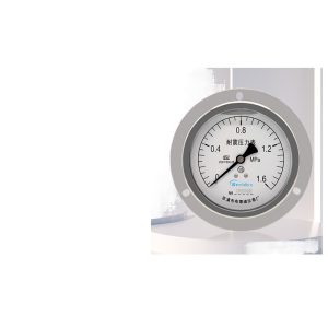 Breidys YN100ZT Axial Pressure Gauge (0-1.6MPa) for Air, Water, Hydraulic, Vacuum Systems, Replaces Breidys N9-28050066