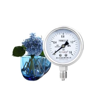 Stainless Steel Pressure Gauge YN60BF (0-1.6MPa, 2.5 Accuracy, Threaded Connection for Industrial HVAC Systems)