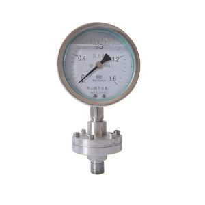 精艺 YTP-100ML Stainless Steel Diaphragm Pressure Gauge (0-1.6 MPa, 100mm, Radial Threaded Connection) Shock Resistant Pressure Meter for HVAC Systems