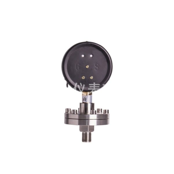 Threaded Diaphragm Pressure Gauge YPF100ML (100mm, -0.1 to 0.6 MPa, 1.6 Accuracy) for Industrial Applications - Gambar 3