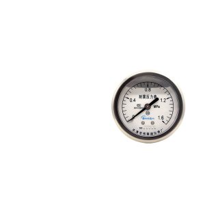 Breidys YN60Z Axial Pressure Gauge (0-1.6MPa, 60mm Dial, Anti-Vibration) for Water, Air, Hydraulic Systems, Replaces 24064712