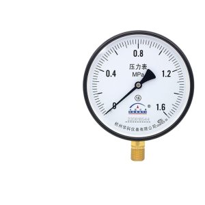 Yongyi Y150 Radial Pressure Gauge 0-1.6MPa for Steam Water Oil Gas Pressure Systems