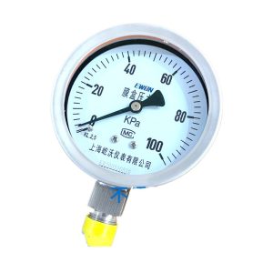 Stainless Steel Diaphragm Pressure Gauge YEF-100H (0-100kPa, M20*1.5, 100mm, Class 2.5)