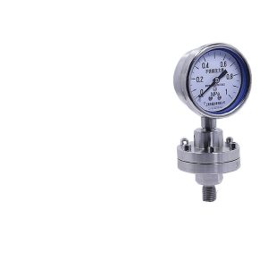 Stainless Steel Diaphragm Pressure Gauge Y60-B-F-ML (60mm, 0-1 MPa, Threaded Connection)
