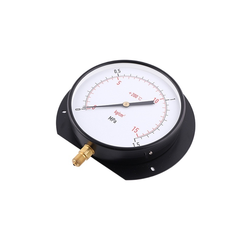 Electrophoretic Iron Case Radial Pressure Gauge (160mm) with Rear Flange for Industrial Applications, 0-1.5 MPa/kg/cm2, Customizable - Image 3