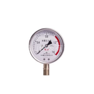 YN100BF Stainless Steel Pressure Gauge (0-1.6 MPa, 100mm Radial Connection, Vibration Resistant) for Industrial HVAC Systems
