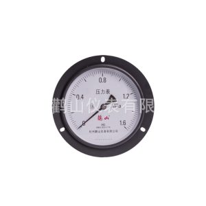 Spring Tube Pressure Gauge Panel Mount Axial with Front Edge Thread M20*1.5 0-1.6 MPa, for General HVAC Pressure Systems