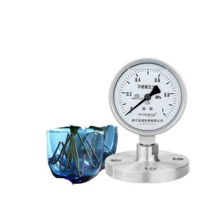 MAIRUIKESI YTP100BF Diaphragm Pressure Gauge with Flange Connection DN25-DN100, 316L Stainless Steel, 0-1 MPa, for HVAC Industrial Applications