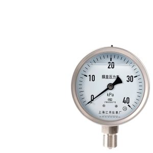 Jiangyue YNE100BF Stainless Steel Diaphragm Pressure Gauge (0-40kPa, Gas/Vacuum) for Industrial HVAC Systems