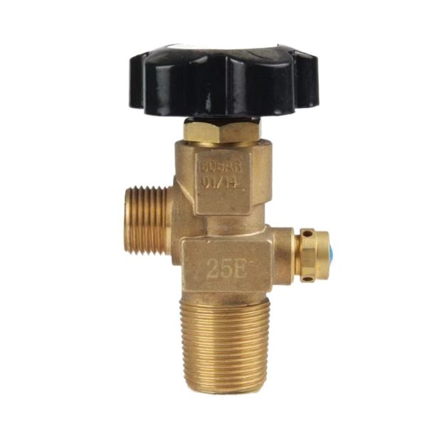 CO2 Cylinder Valve Oxygen Valve Steel Cylinder Valve QF-2G125E 25EA QF-7D2, Compatible with CO2/Oxygen/Gas Cylinders (QF-7B)