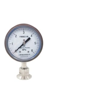 Sanitary Diaphragm Pressure Gauge Y-100BF-MC (0-6MPa) Stainless Steel for Hydraulic Water Oil Gas HVAC Systems