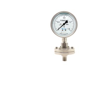 Diaphragm Pressure Gauge YTP100-ML (0-1.6 MPa, Stainless Steel) with Threaded Connection, High Precision for Industrial Applications