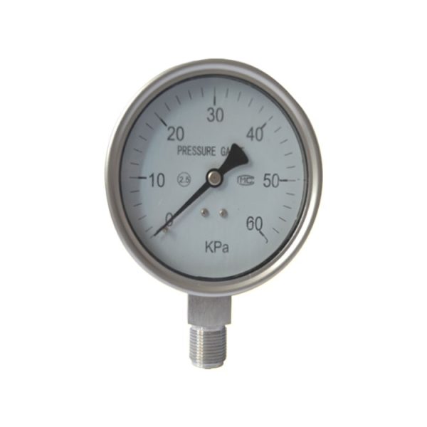 ZYB Stainless Steel Pressure Gauge (0-60 KPa, Axial M20*1.5, Y100) for Low Pressure Systems