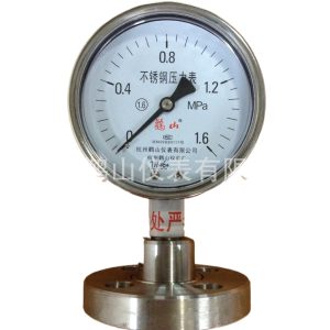 Flange Connection Diaphragm Pressure Gauge Y100BF/MF DN25 Stainless Steel Pressure Meter (0.0-1.6 MPa, 100mm Dial) for Industrial Applications