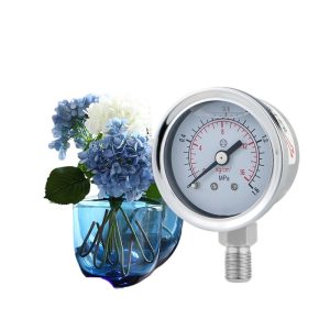 YN40BF Stainless Steel Shock-Resistant Pressure Gauge (0-1.6MPa) for Hydraulic Water Gas Systems, Replaces Standard Pointer Gauges