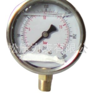 Durable Oil-Filled Pressure Gauge (0-20bar/0-300psi, Radial/Axial Connection) for HVAC Systems