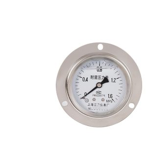 Axial Flanged Pressure Gauge YN60/ZT (0-1.6 MPa, 2.5 Accuracy) Stainless Steel for Air, Hydraulic, Oil, Water Systems