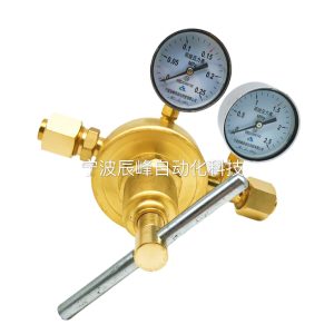 Propane Full Copper Pressure Reducer Valve (0-0.25 MPa, 0-2.5 MPa) for Propane Gas Systems