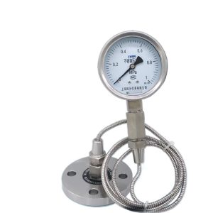Stainless Steel Diaphragm Pressure Gauge with Flange Soft Tube Connection (0-1 MPa, KL 1.6 Accuracy) for High Pressure Systems