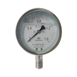 YNBF100 Stainless Steel Pressure Gauge (0-1.6 MPa, 100mm Dial) for Industrial Applications