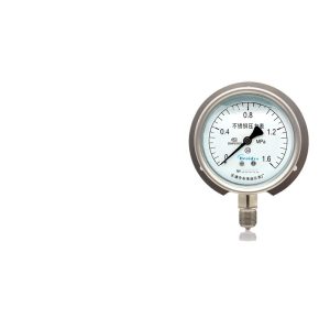 Breidys YNBF100T Stainless Steel Pressure Gauge (0-1.6MPa, 1.6 Precision) for Hydraulic Marine Water Air
