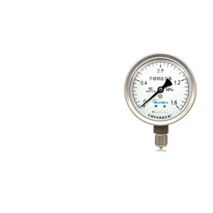 Breidys YNBF100 Stainless Steel Pressure Gauge (0-1.6MPa) for Water Air Gas Hydraulic, Corrosion Resistant Acid-Base Resistant