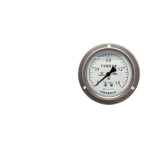 Breidys YNBF100ZT Stainless Steel Pressure Gauge (0-1.6 MPa, 1.6 Accuracy) for Water, Air, HVAC Systems