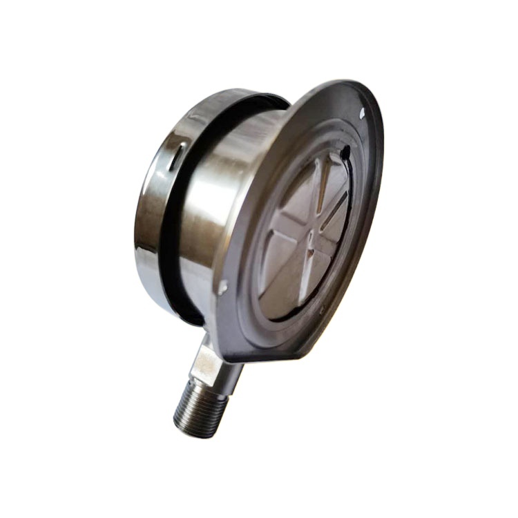 Analog Diaphragm Pressure Gauge YEB-N100 0-50KPa with Radial Back Connection M20*1.5 for Low Pressure Systems - Image 3