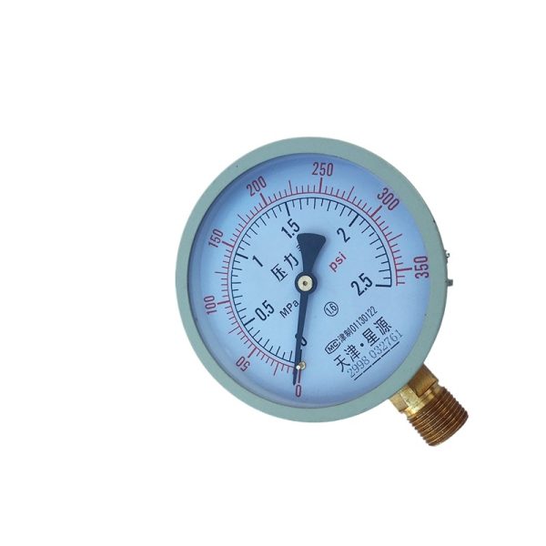 Y-100 Radial Pressure Gauge 0-1 MPa for Water, Air, HVAC Systems - Imej 2