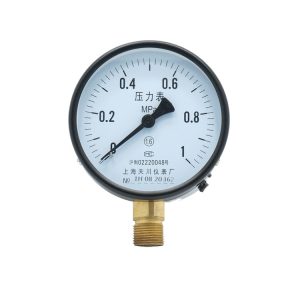 Tianchuan Y-100 Pressure Gauge (0-1 MPa, Full Range, M20*1.5 Thread) for General Industrial Applications