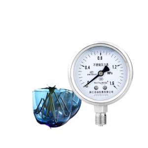 YN60BF Stainless Steel Pressure Gauge (0-1.6 MPa, 2.5 Accuracy, M20x1.5 Thread) for Industrial HVAC Systems
