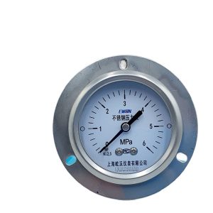 Axial Pressure Gauge YTF-60HZT (0-6 MPa, SS Casing, Class 2.5 Accuracy) for HVAC Systems, Replaces EW181268490