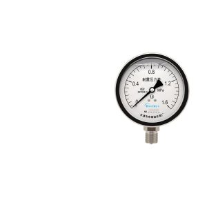 Breidys YN100 Shock-Resistant Pressure Gauge (0-1.6MPa) for Water/Oil/Hydraulic/Gas Pressure Systems