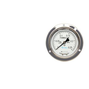 Breidys YNBF100ZT Stainless Steel Pressure Gauge (0.25 MPa, Axial with Edge, Shock Resistant) for Water, Air, HVAC Systems