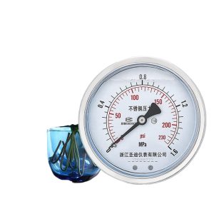 YN100BFZ Stainless Steel Vibration-Proof Pressure Gauge (1.6 Accuracy, M20*1.5 Thread, 100mm Diameter) for Hydraulic & Pneumatic Systems